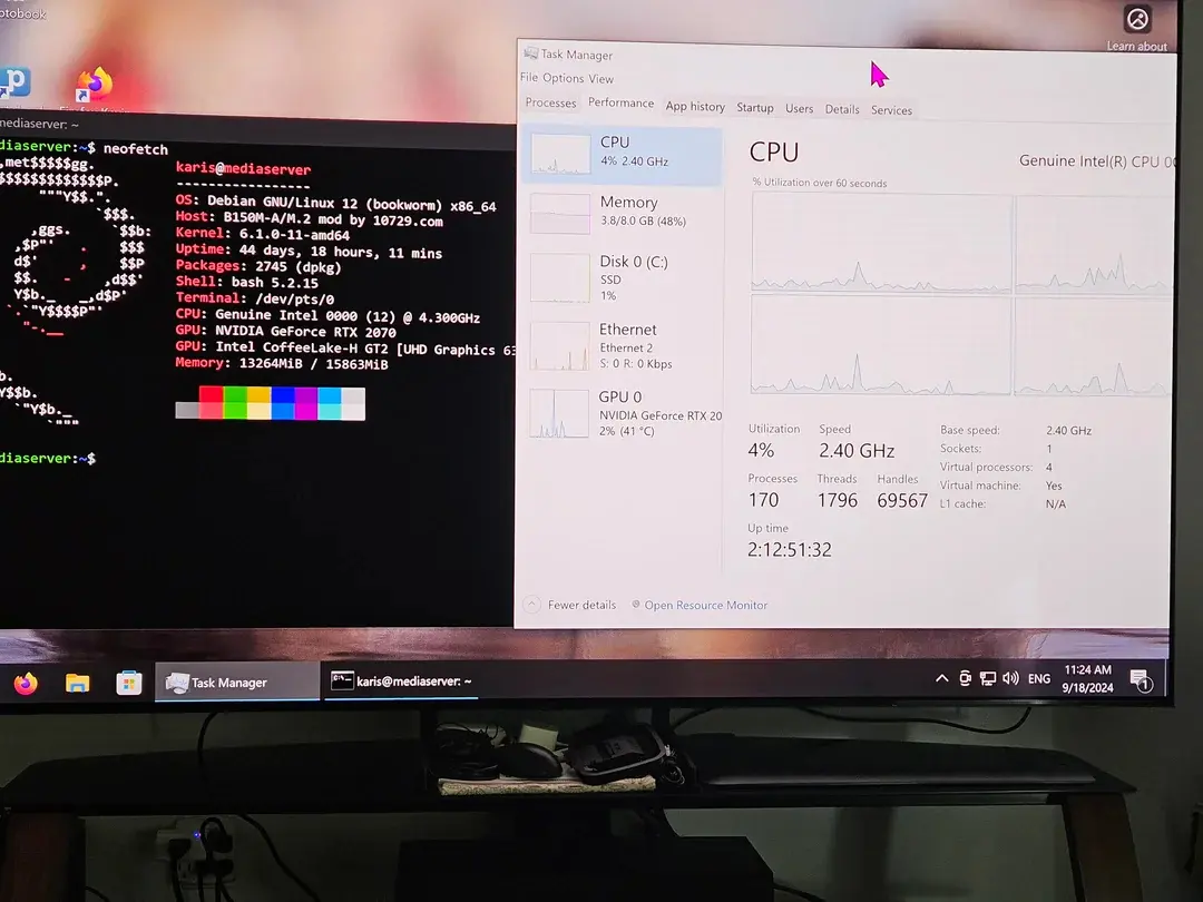 VM task manager and the specs of the host.