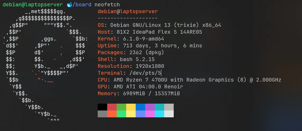 Terminal showing the laptop server’s Debian installation and 713-day uptime
