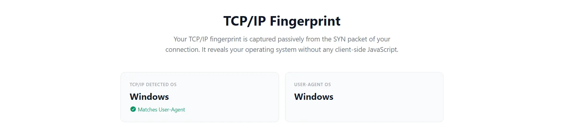 Diagram illustrating operating-system fingerprinting across NAT